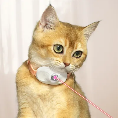 ZenPets Collier à laser pour chats