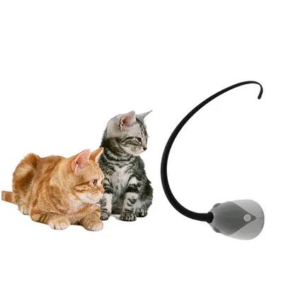ZenPets Bâton pour chat électronique et boule divertissante