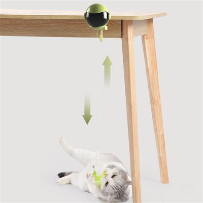 ZenPets Jouet intelligent pour chats