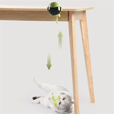 ZenPets Jouet intelligent pour chats