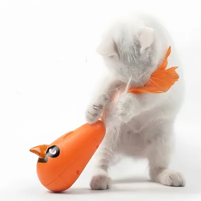ZenPets Oursin à plumes pour chats
