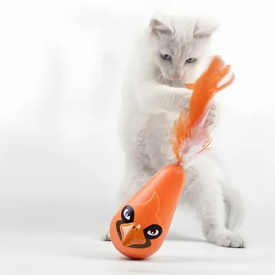 ZenPets Oursin à plumes pour chats