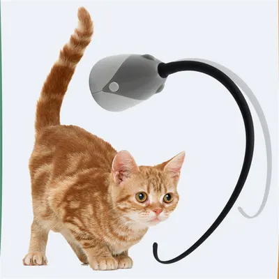 ZenPets Bâton pour chat électronique et boule divertissante