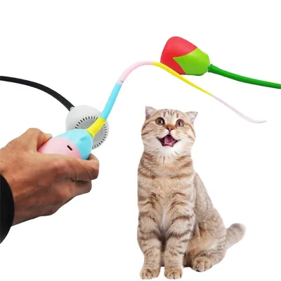 ZenPets Bâton pour chat électronique et boule divertissante