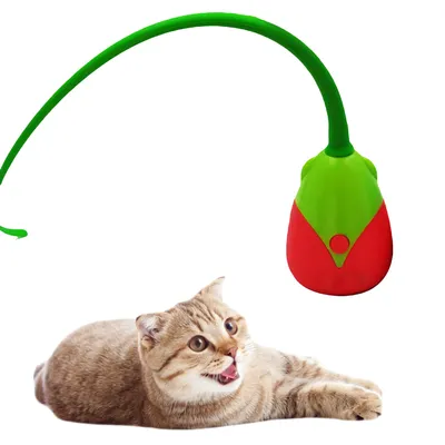 ZenPets Bâton pour chat électronique et boule divertissante
