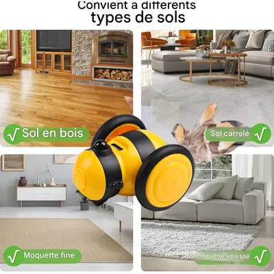 IntiMeg Jouet interactif pour chats
