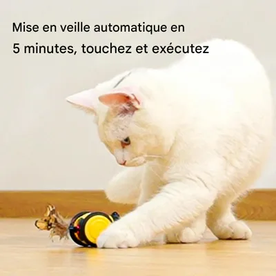 IntiMeg Jouet interactif pour chats