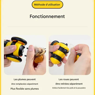 IntiMeg Jouet interactif pour chats