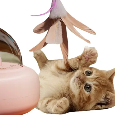 ZenPets Jouet et bâton intelligents pour chat