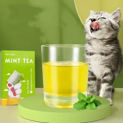 Intimeg Poudre d'herbe à chat 10 sachets