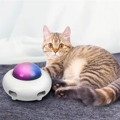 IntiMeg Attrape - chats intelligent UFO