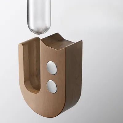 ZenPets Boîte de rangement pour moustaches