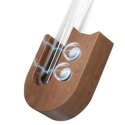 ZenPets Boîte de rangement pour moustaches