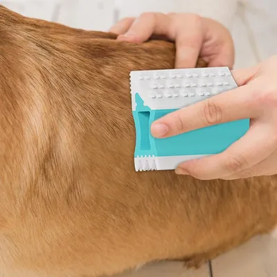 Intimeg Brosse à poils de chat