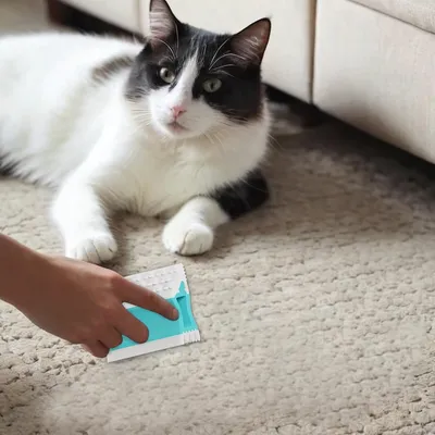 Intimeg Brosse à poils de chat