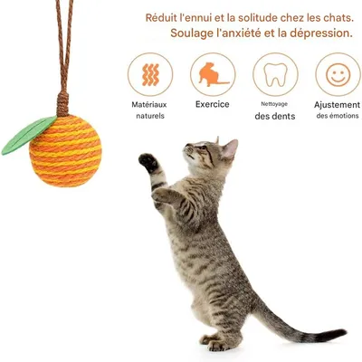 Jouet suspendu de boule de corde de sisal IntiMeg