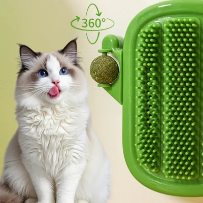 ZenPets Chatouilleur pour chat 3-en-1