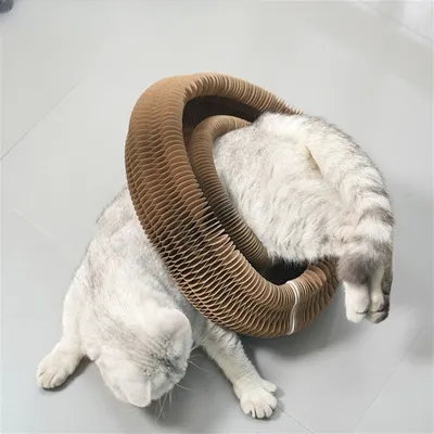 IntiMeg Gratte - ongles pour chat
