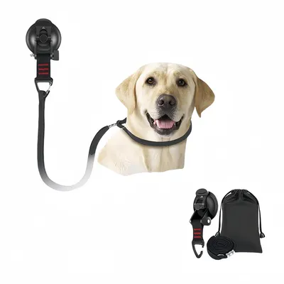 ZenPets Machine de fixation pour soins infirmiers