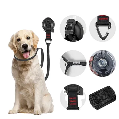 ZenPets Machine de fixation pour soins infirmiers