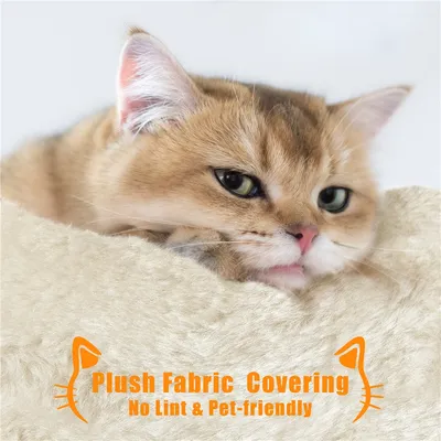 Yaheetech Arbre à Chat avec Litière