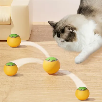 ZenPets Balle électrique pour chat