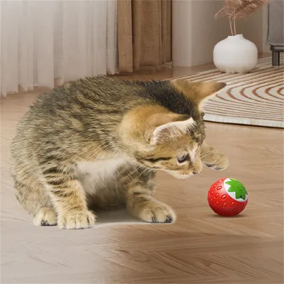 ZenPets Boule à chat en forme de fraise