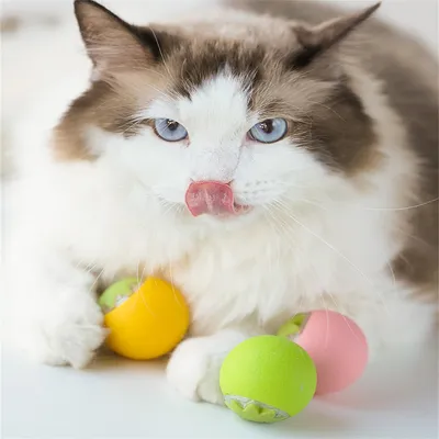 ZenPets Balle électrique pour chat