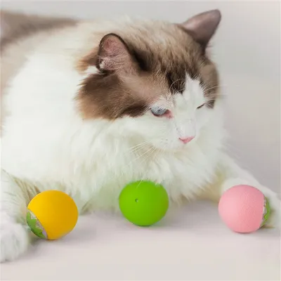ZenPets Balle électrique pour chat