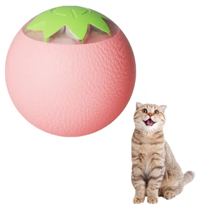 ZenPets Balle électrique pour chat