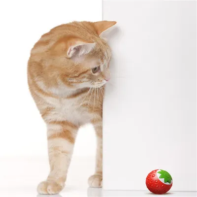 ZenPets Boule à chat en forme de fraise