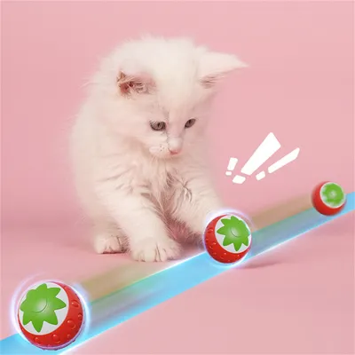 ZenPets Boule à chat en forme de fraise