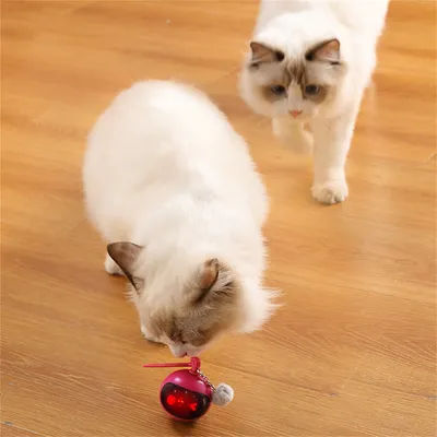 ZenPets Boule électronique intelligente pour chats