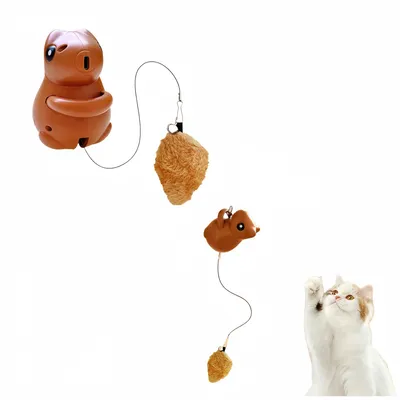 Intimeg Jouet pour chat en forme d'écureuil sautant