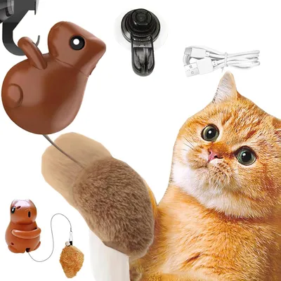 Intimeg Jouet pour chat en forme d'écureuil sautant