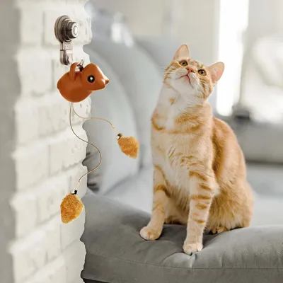 Intimeg Jouet pour chat en forme d'écureuil sautant