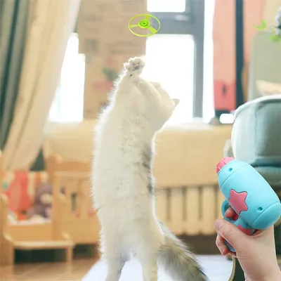 IntiMeg Jouets interactifs pour chats
