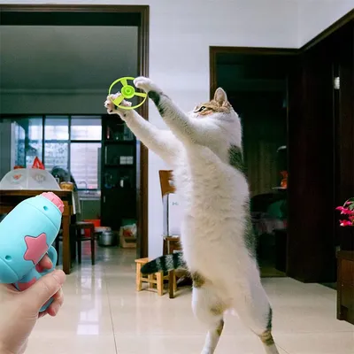 IntiMeg Jouets interactifs pour chats