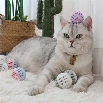 IntiMeg Balle de jouet pour chat