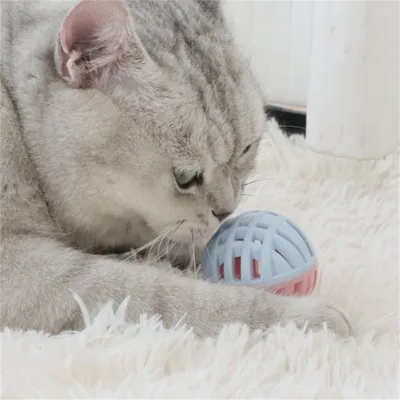 IntiMeg Balle de jouet pour chat