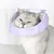 ZenPets Collier anti-lèchement respirant pour chat
