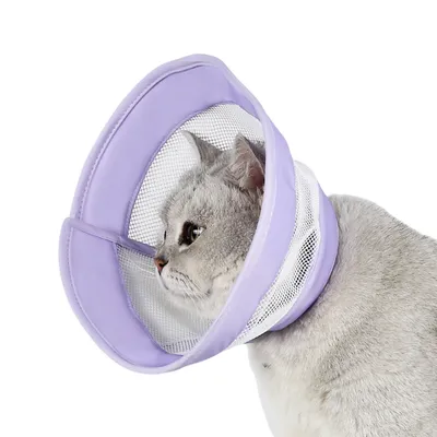 ZenPets Collier anti-lèchement respirant pour chat