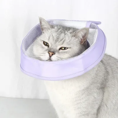 ZenPets Collier anti-lèchement respirant pour chat