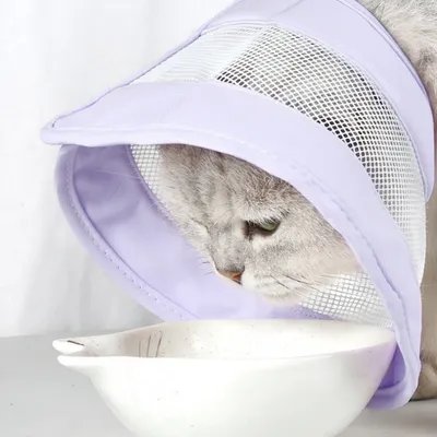 ZenPets Collier anti-lèchement respirant pour chat