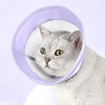 ZenPets Collier anti-lèchement respirant pour chat