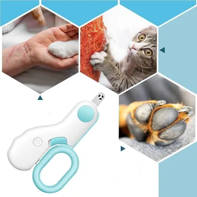 IntiMeg Coupe Griffes pour Chat