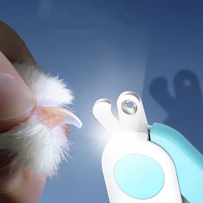 IntiMeg Coupe Griffes pour Chat