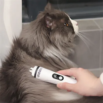 ZenPets Meuleuse à griffes pour animaux de compagnie