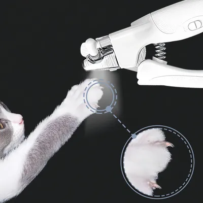 ZenPets Coupe-ongles LED rechargeable