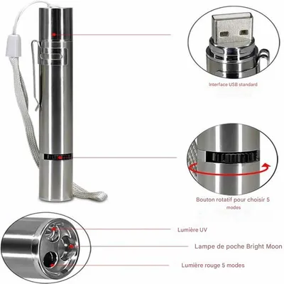 IntiMeg Pointeur laser élégant pour chats